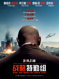 戰(zhàn)略特勤組（2010）