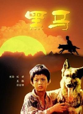 黑馬1989